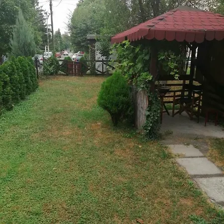 Viktor * Beograd
